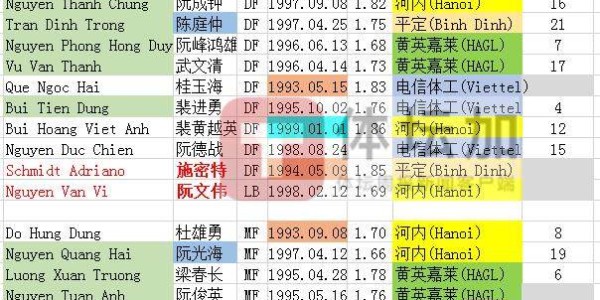 足球博彩-越南最新28人名单3张新面孔 入籍球员引人注目